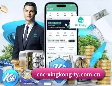星空娱乐 APP 深度功能（Starsky）